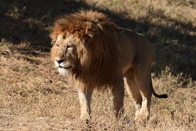 Big Five Luxury 7 Days Safari Tour in Arusha - Group Size and Pricing