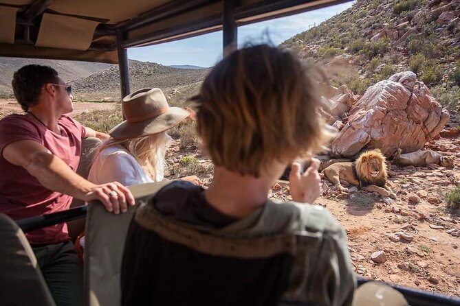 Big Five Safari Experience Near Cape Town ,South Africa - Additional Details
