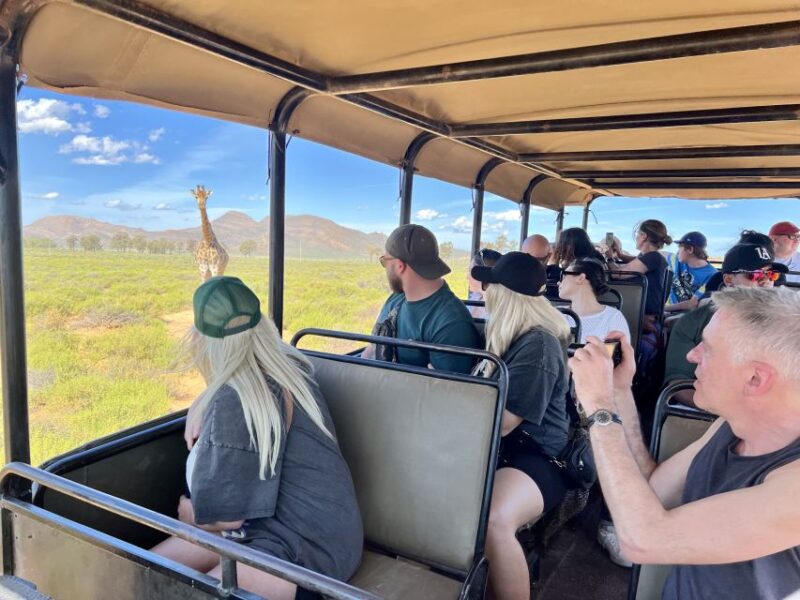 Big-Five Safari Experience Near CapeTown, South Africa - Inclusions