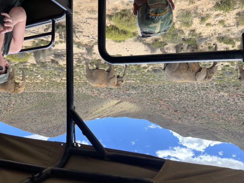 Big-Five Safari Experience Near CapeTown, South Africa - Safari Distance