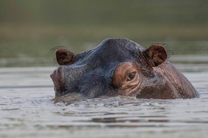 Big Five Safari In Tanzania - Additional Information