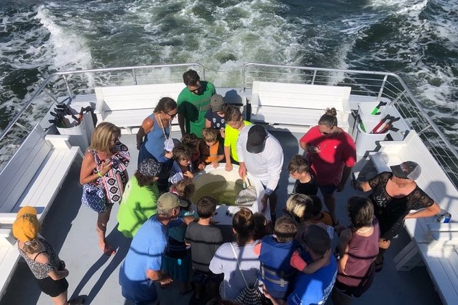 Big Fun Dolphin Cruise & Sealife Experiece ORANGE BEACH ALABAMA - Cruise Details and Amenities