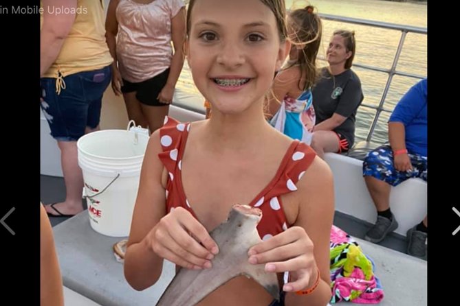 Big Fun Dolphin Cruise & Sealife Experiece ORANGE BEACH ALABAMA - Making the Most of Your Big Fun Dolphin Cruise