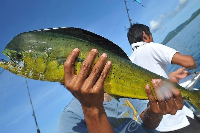 Big Game Fishing and Trolling Full-Day Tour - Health and Safety Guidelines