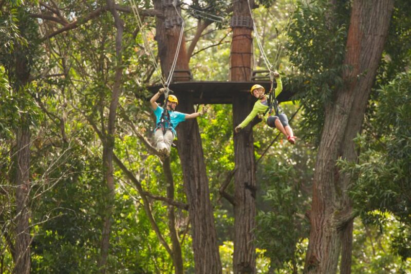 Big Island: 3-Hour Kohala Canopy Zipline Adventure - Adventure Features