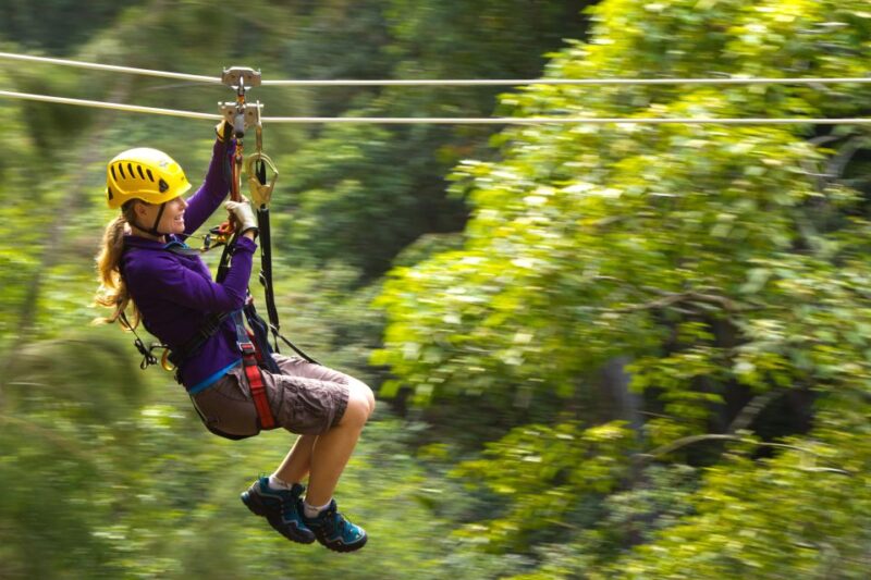Big Island: 3-Hour Kohala Canopy Zipline Adventure - Booking Information
