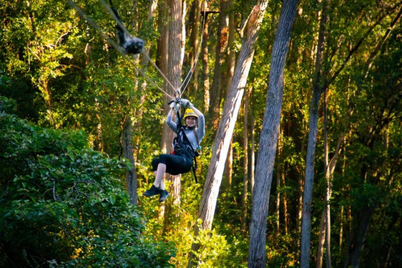Big Island: 3-Hour Kohala Canopy Zipline Adventure - Customer Feedback