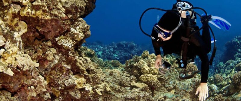 Big Island: 3 Hour Waikoloa Snorkeling & Sailing Adventure - Sailing and Sightseeing