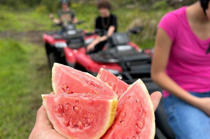 Big Island ATV Tour at Ohana Ranch - References