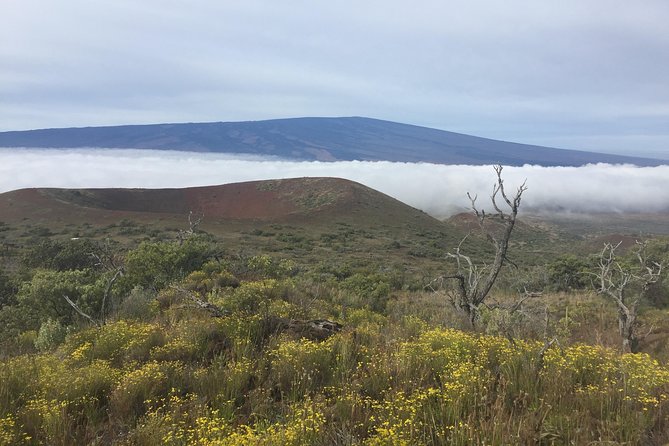 BIG Island BIG Volcano Adventure From Kona: Small Group - Tour Inclusions