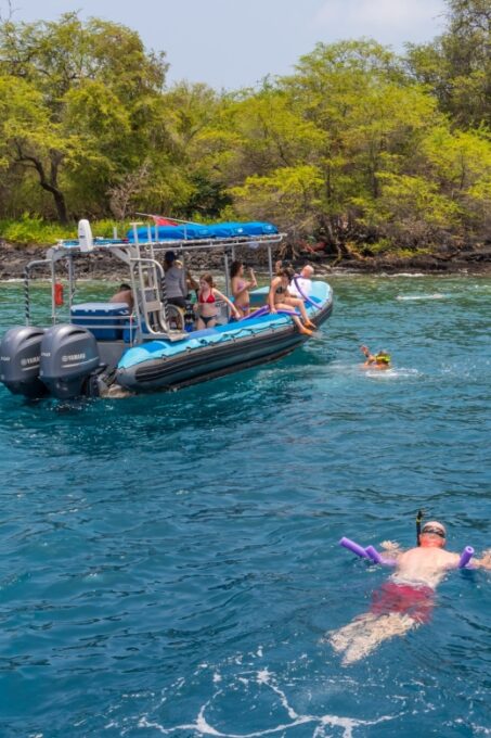 Big Island: Captain Cook Sightseeing & Snorkel Expedition - Sighting Marine Life