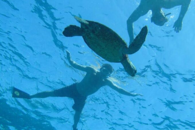 Big Island: Captain Cook Sightseeing & Snorkel Expedition - Visiting Captain Cook Monument