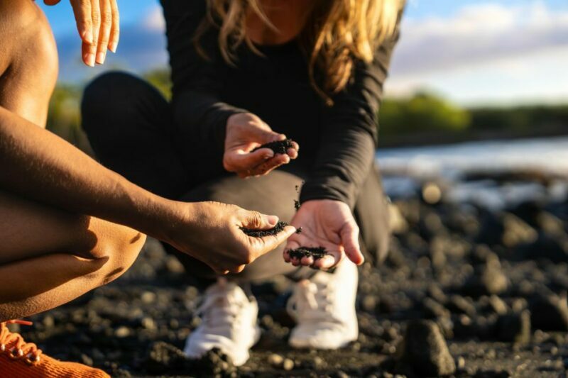 Big Island: Coffee, Black Sand, Volcano and Waterfall Tour - Waterfalls and Scenic Views