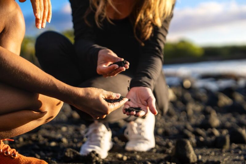 Big Island: Coffee, Black Sand, Volcano and Waterfall Tour - Inclusions
