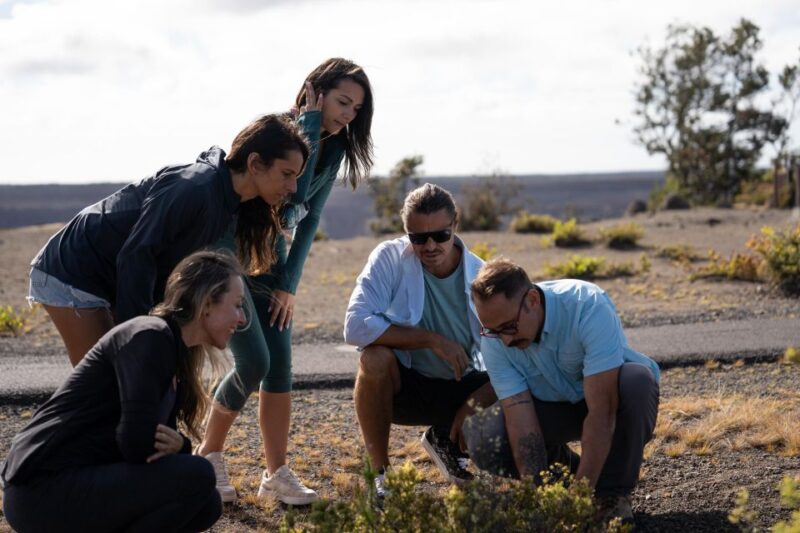 Big Island: Coffee, Black Sand, Volcano and Waterfall Tour - Important Information
