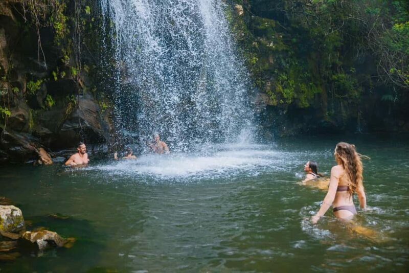 Big Island: Full Day Adventure Tour of the Kohala Waterfalls - A Detailed Look at the Kohala Waterfalls Tour