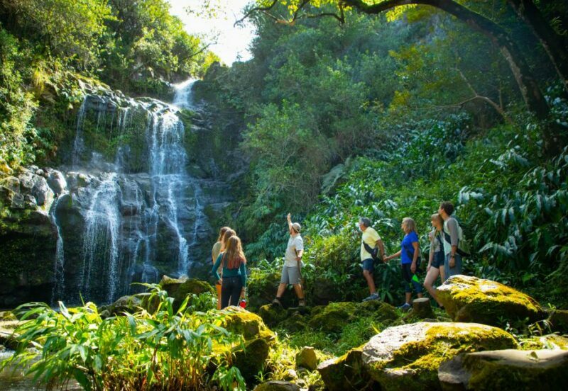 Big Island: Full Day Adventure Tour of the Kohala Waterfalls - Review Highlights and Real Experiences