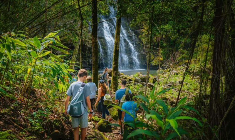 Big Island: Full Day Adventure Tour of the Kohala Waterfalls - FAQ