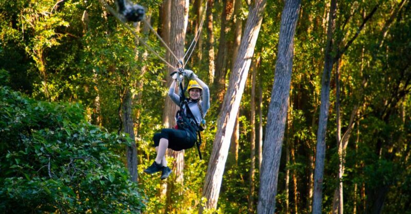 Big Island: Full-Day Kohala Zipline and Waterfall Adventure - Key Points