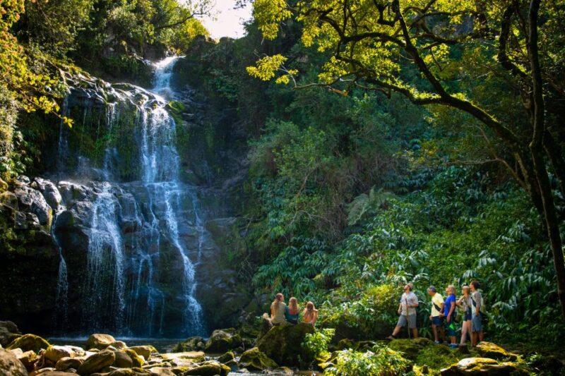Big Island: Full-Day Kohala Zipline and Waterfall Adventure - Picnic and Scenery