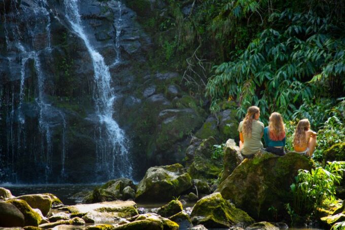 Big Island: Full-Day Kohala Zipline and Waterfall Adventure - Customer Feedback