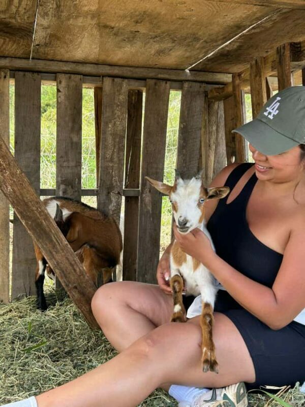 Big Island: Hand Feed & Cuddle Baby Goats - Practical Details and What They Mean for You