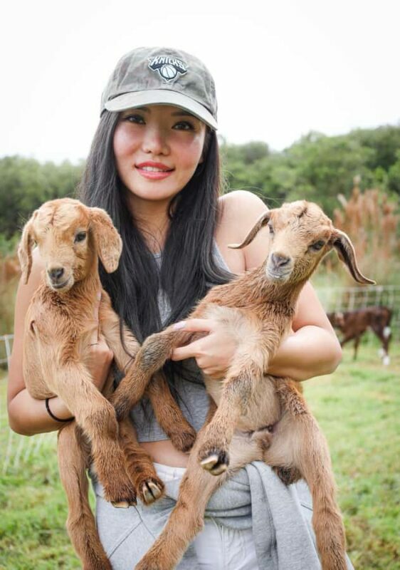 Big Island: Hand Feed & Cuddle Baby Goats - Who Should Consider This Tour?