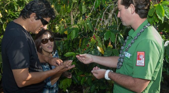 Big Island, Hawaii: Volcano and Stargazing Tour With Dinner - Punaluu Black Sand Beach