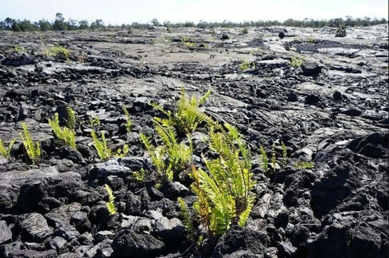 Big Island Hawaii Volcano Day tour from Oahu and Hotel PU - Discovering the Big Island from Oahu: A Practical Guide to the Volcano Day Tour