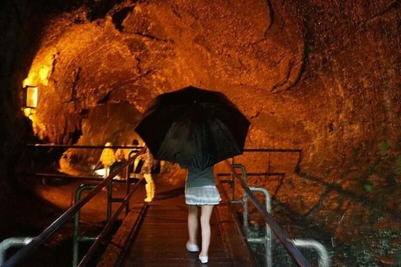 Big Island Hawaii Volcano Day tour from Oahu and Hotel PU - Who Should Consider This Tour?