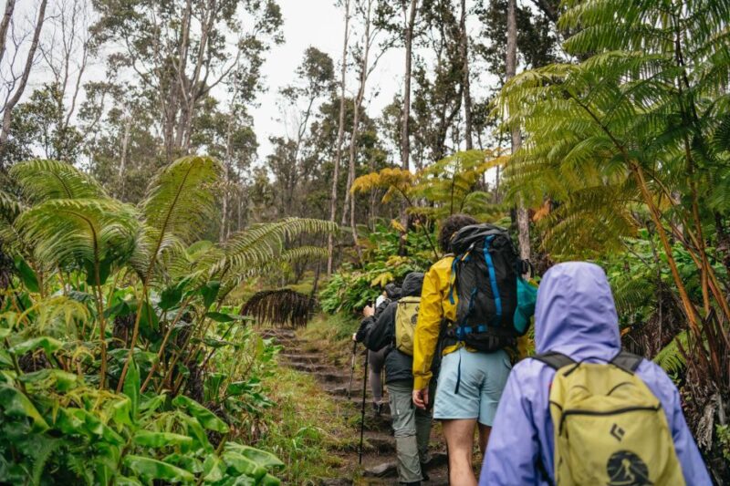 Big Island: Hawaii Volcanoes National Park Guided Hike - Meals Included