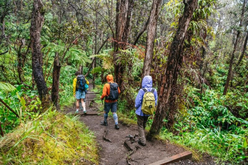 Big Island: Hawaii Volcanoes National Park Guided Hike - Meeting Point