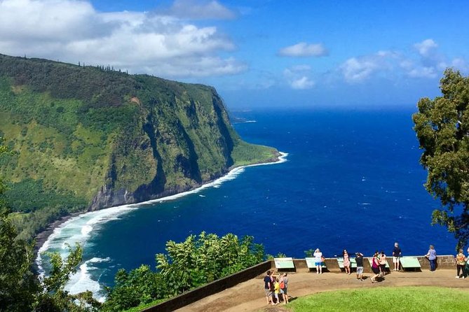 Big Island in a Day: Volcanoes Waterfalls Sightseeing and History - Discovering Hawaiis Ecosystems