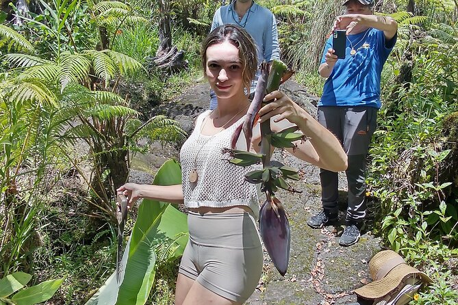 Big Island Jungle Tour With Banana and Guava Green Tea - Experience Highlights and Activities