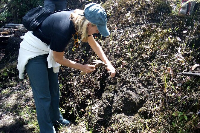 Big Island Jungle Tour With Banana and Guava Green Tea - Reviews and Customer Feedback
