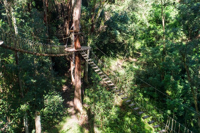 Big Island Kohala Canopy Zipline Adventure - Flexibility and Orientation Control