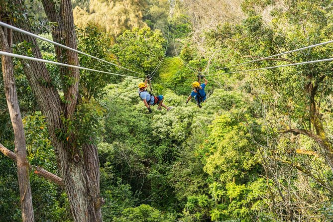 Big Island Kohala Zip and Dip Tour From Kona - Meeting and Pickup Details