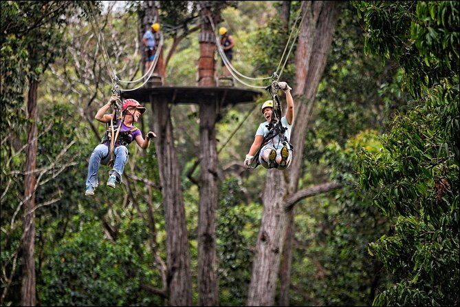 Big Island Kohala Zip and Dip Tour From Kona - Important Considerations