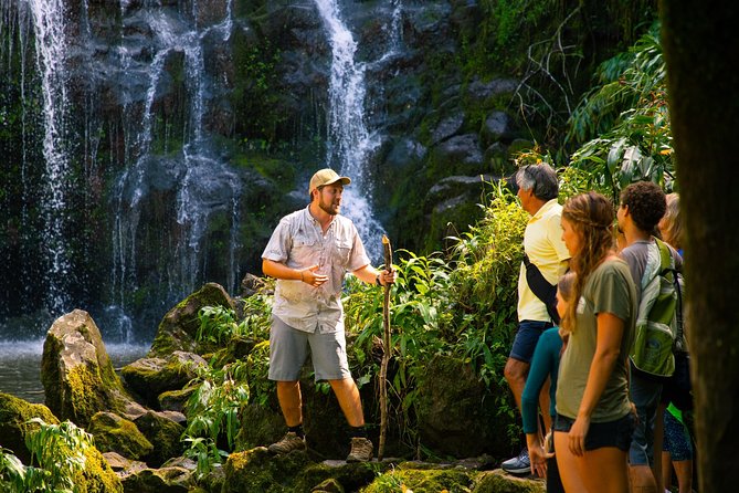 Big Island Kohala Zip and Dip Tour From Kona - Tour Reviews and Ratings