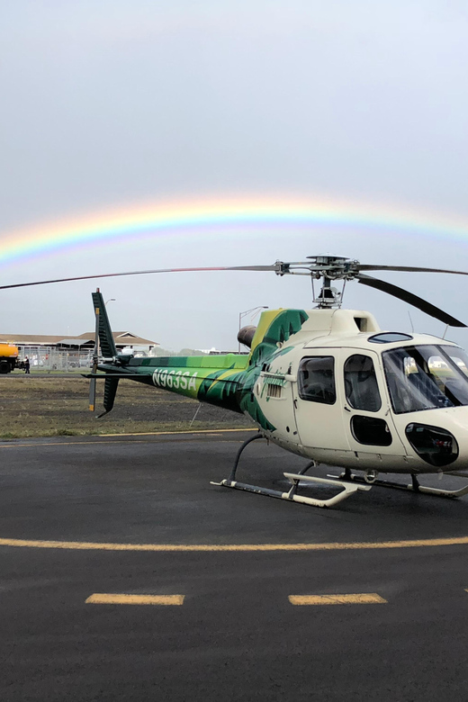 Big Island: Lava Field & Rainforest Safari - Itinerary Highlights
