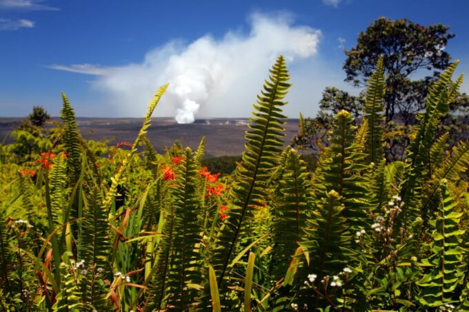 Big Island: Lava Field & Rainforest Safari - Frequently Asked Questions