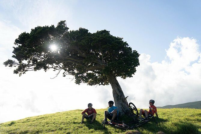 Big Island Mountain Biking on Anna Ranch - The Sum Up