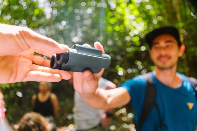 Big Island: Native Bird Watching & Hiking Tour - Hakalau Forest Wildlife
