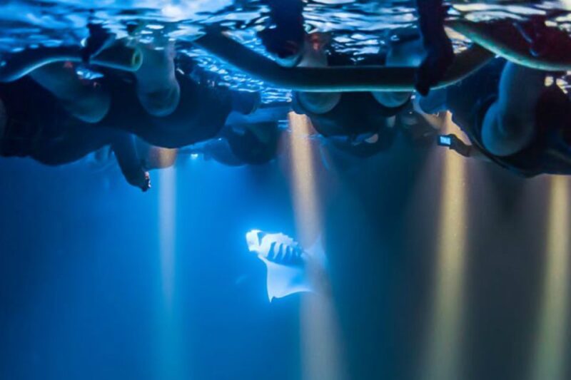 Big Island: Night Swim With Manta Ray With Hot Chocolate - Frequently Asked Questions