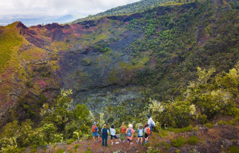 Big Island: Off the Beaten Path Volcano Crater Hike - Important Information