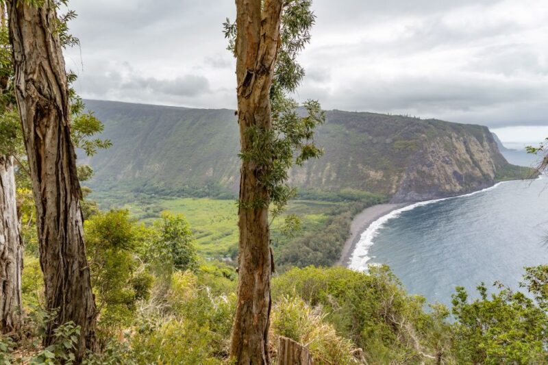 Big Island: Private Island Circle Tour With Lunch and Dinner - Itinerary Highlights