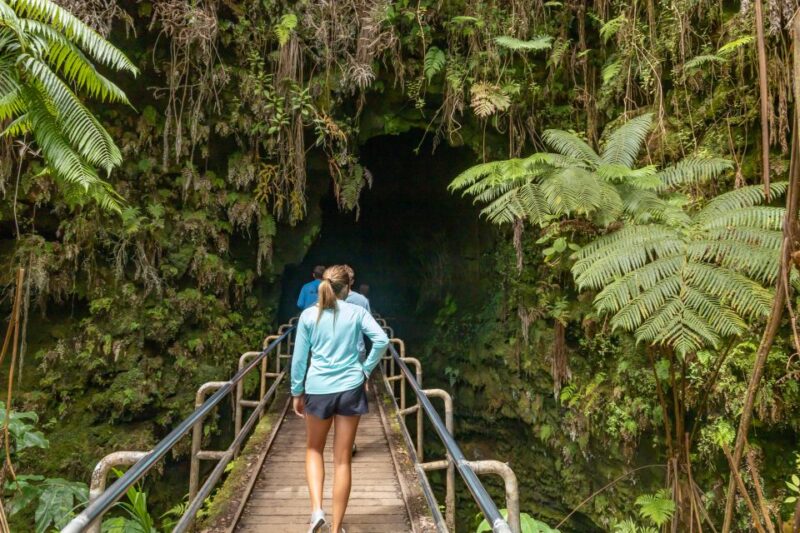 Big Island: Private Island Circle Tour With Lunch and Dinner - Accessibility and Comfort