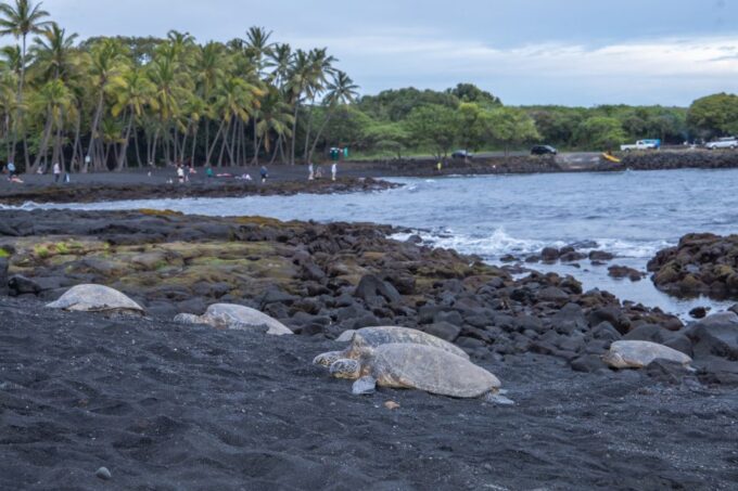 Big Island: Private Island Circle Tour With Lunch and Dinner - Cultural Insights