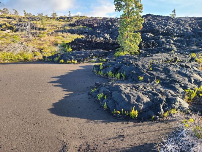 Big Island: Private Volcano Tour - Volcanoes Natl Park - Volcano Viewing Opportunities