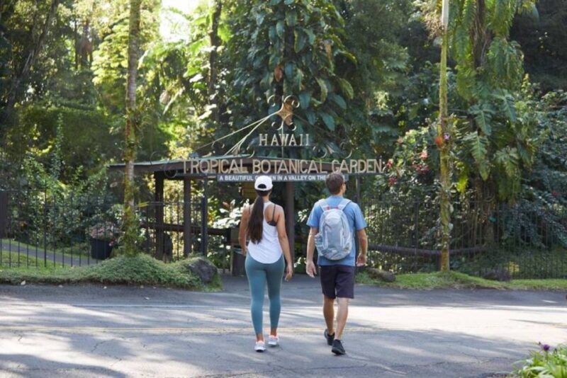 Big Island: Small Group Waterfalls Adventure - Itinerary Highlights